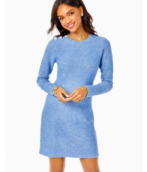 Morgen Sequin Sweater Dress