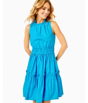 Elina Stretch Ruffle Dress