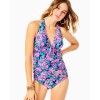 Amren Tankini Top