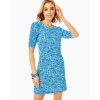 Belden T-Shirt Dress