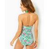 Flamenco One-Piece Swimsuit